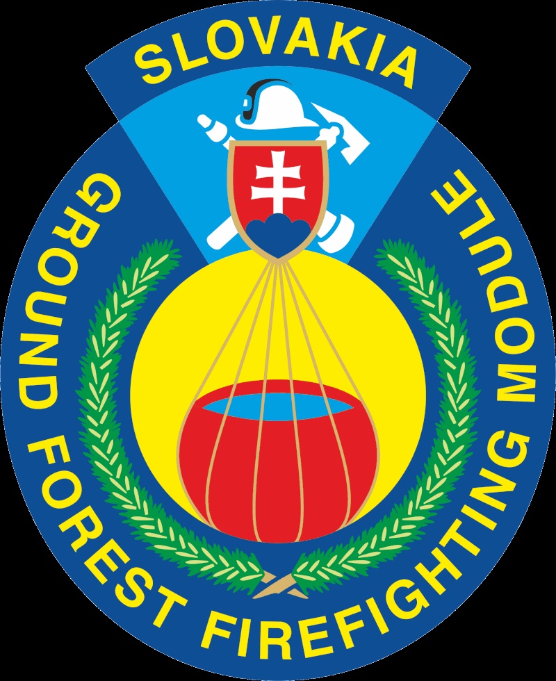 logo GFFF-V